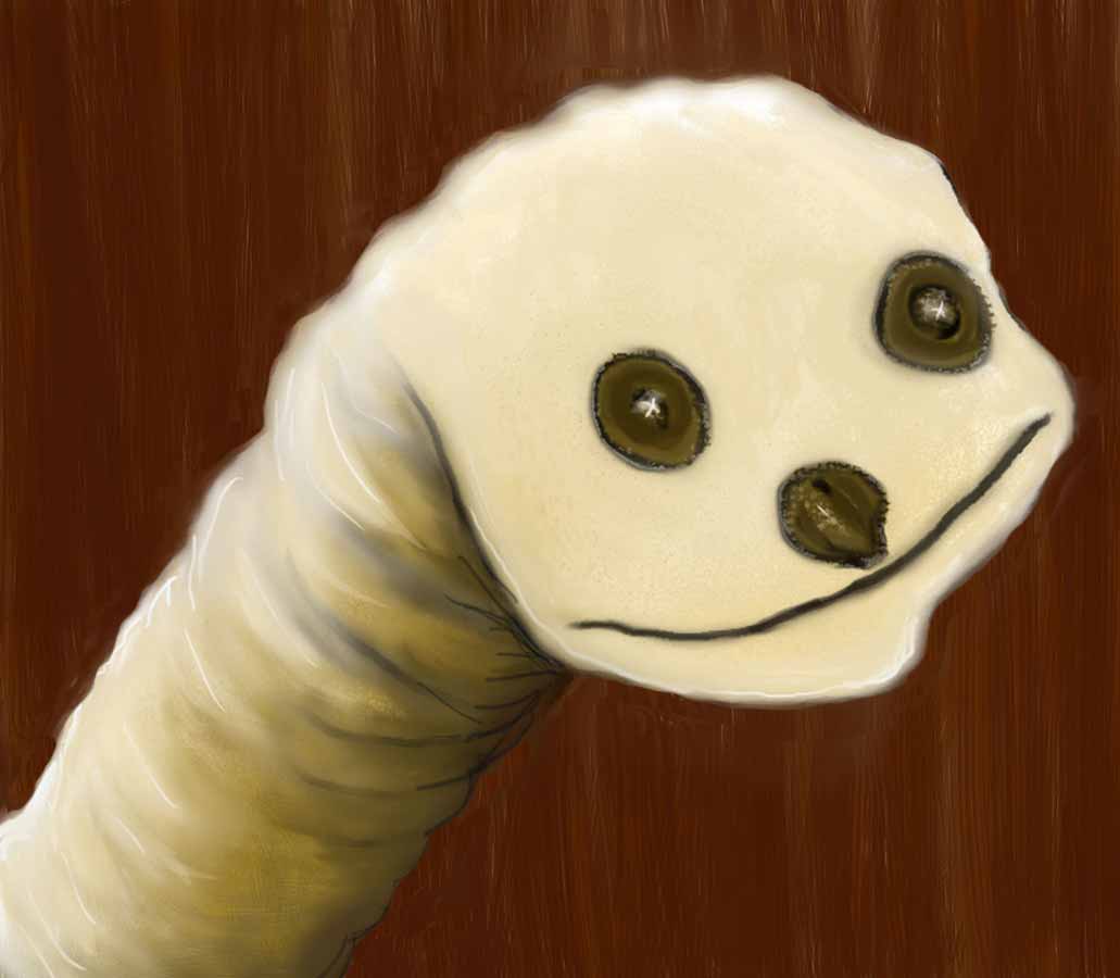 Sylvester Sock