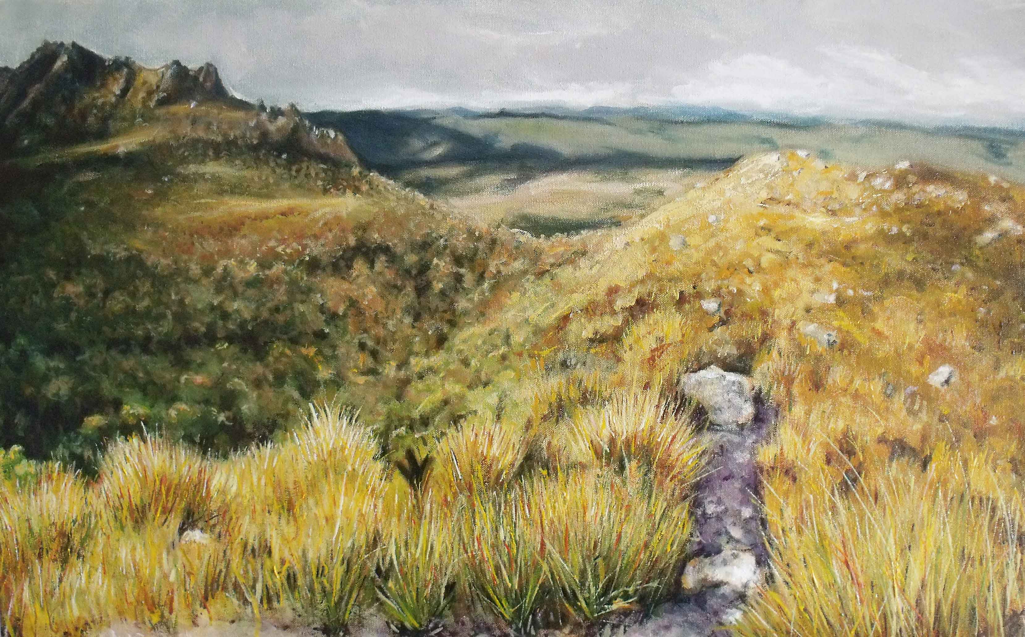 Gordon River Valley