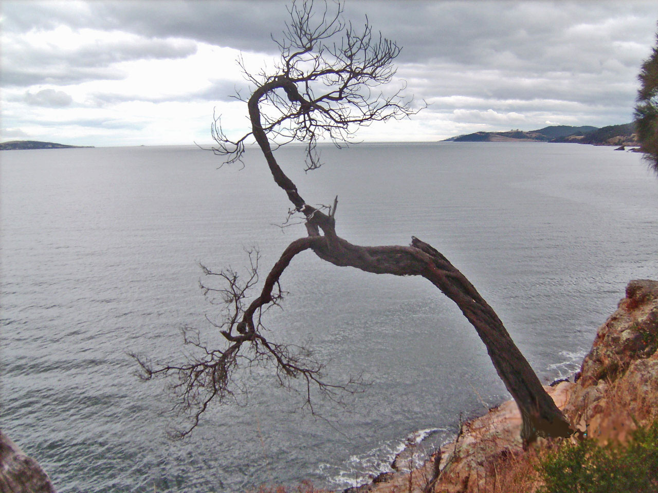 Blackmans Bay III