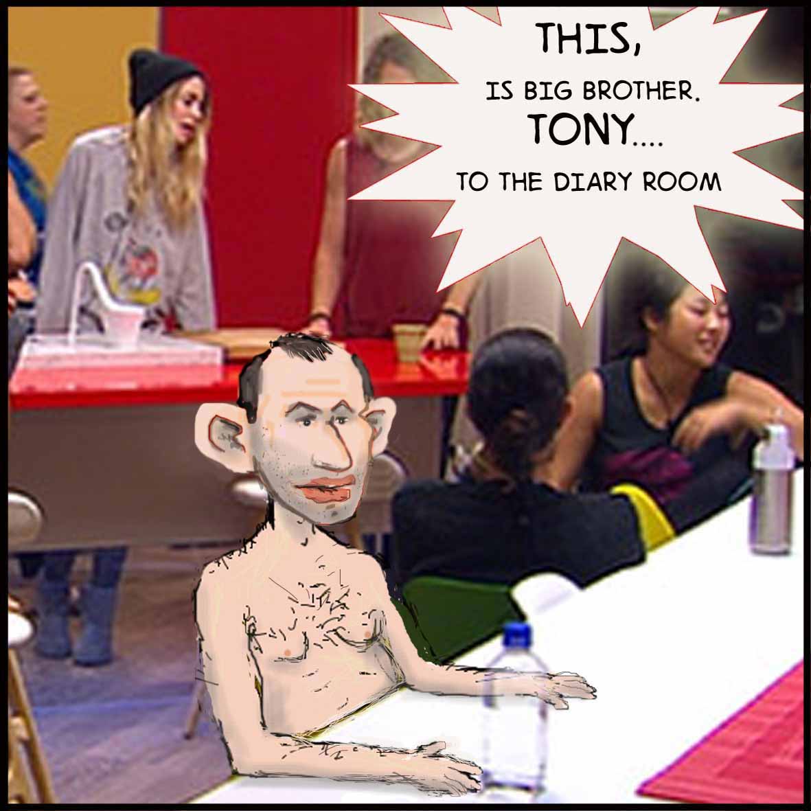 Big Brother 1