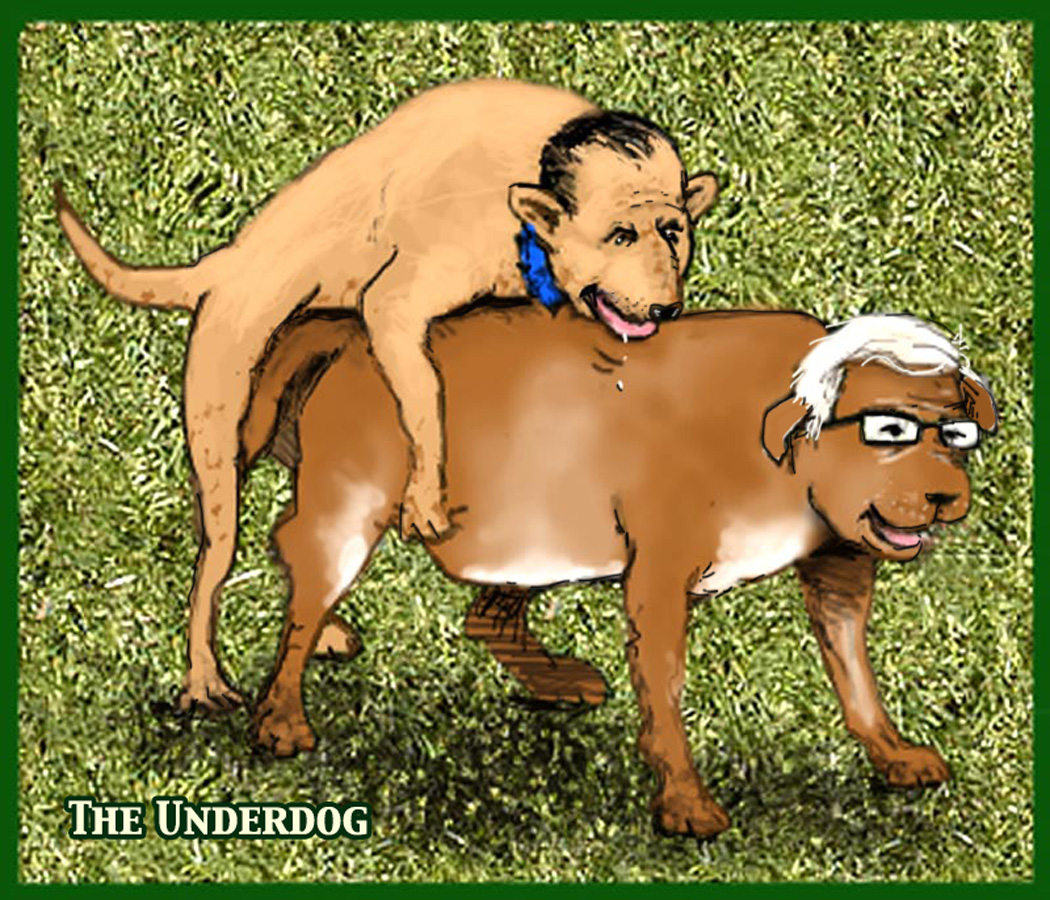 Election Underdog