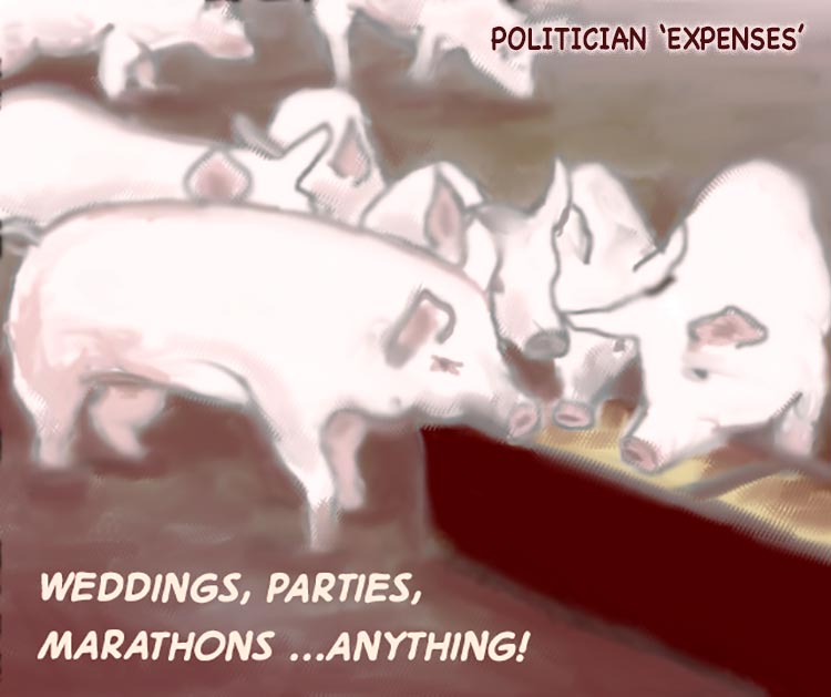 Pigs