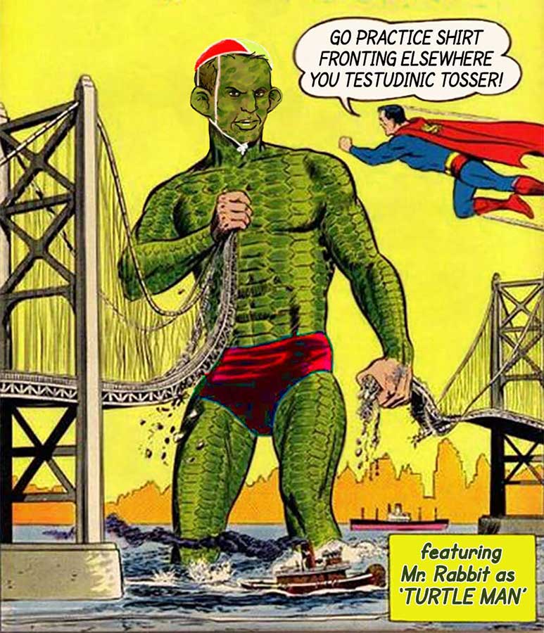 Abbott Turtle