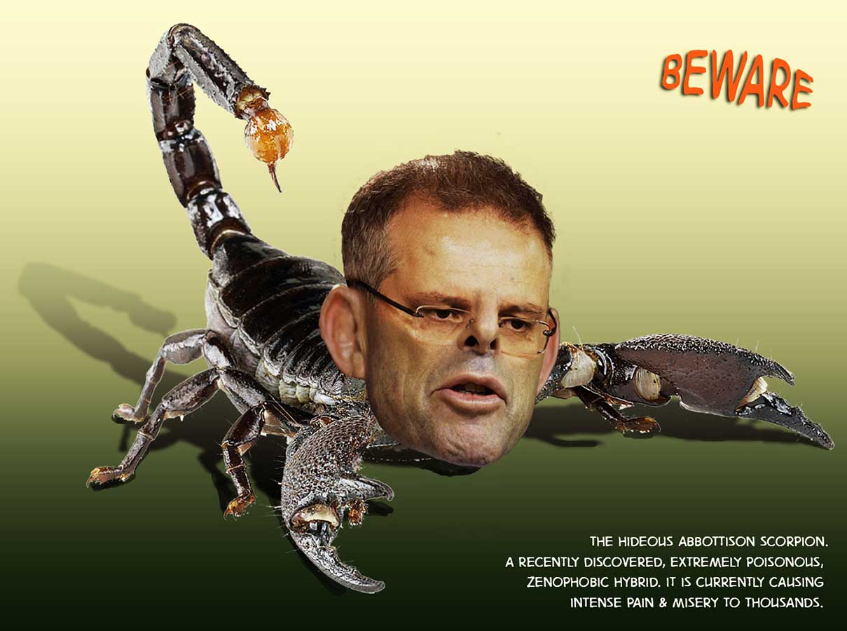 Abbottison Scorpion