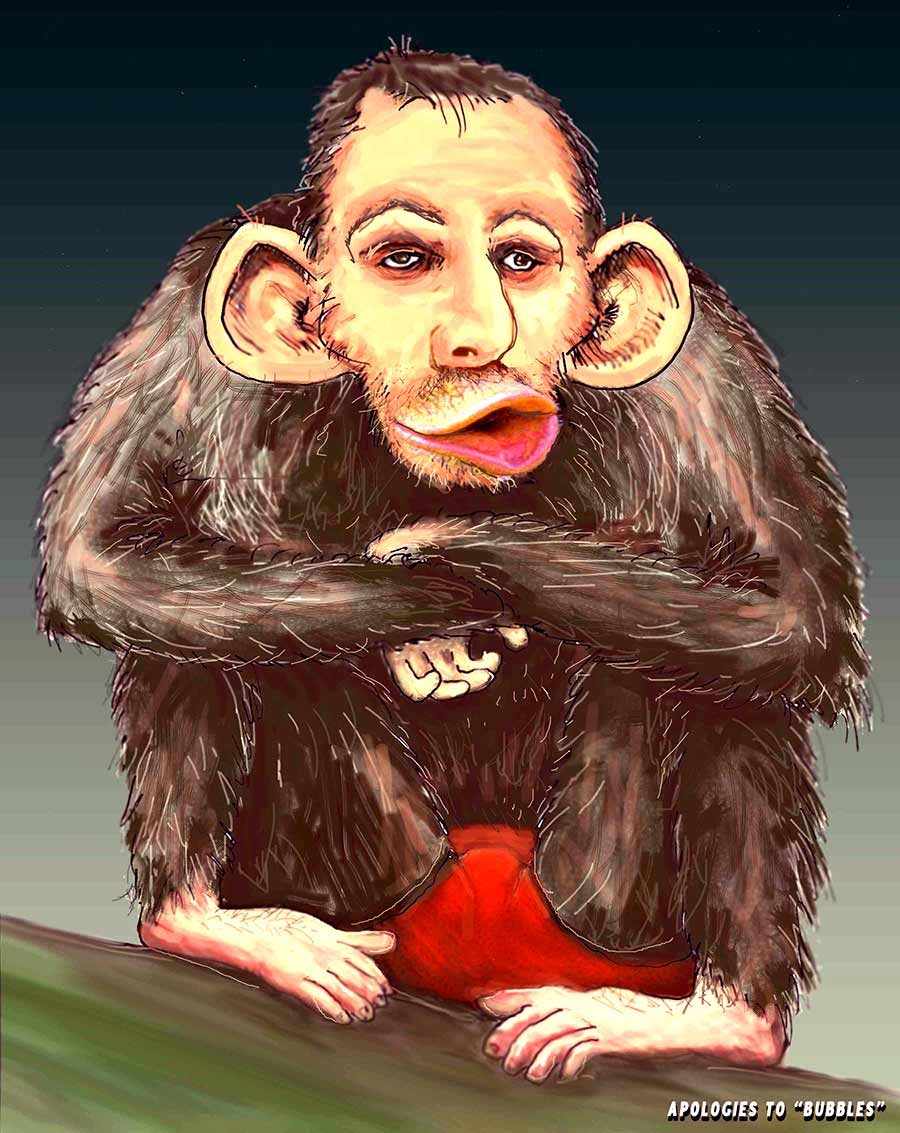 Chimp