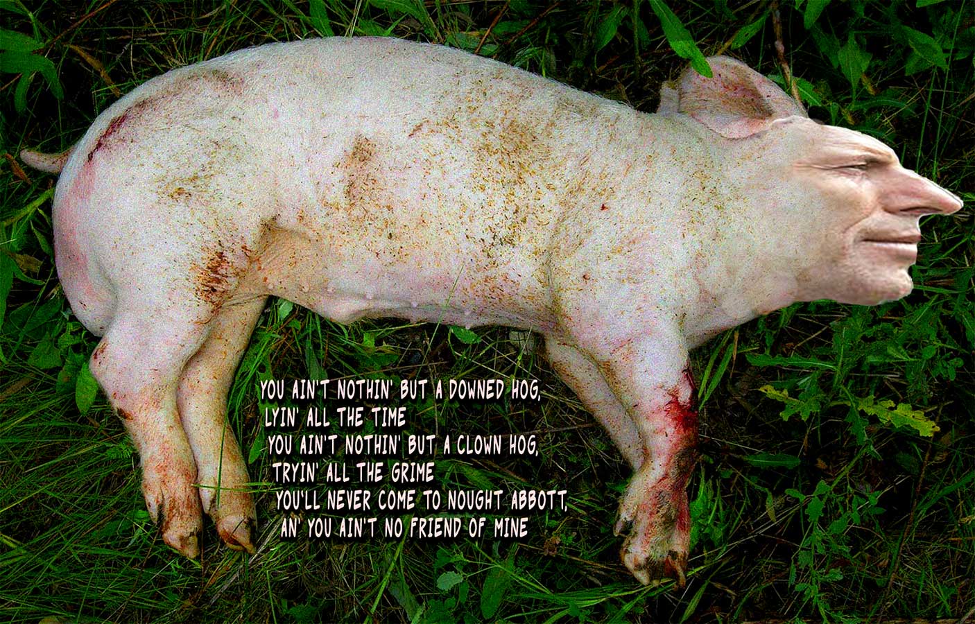 Downed Hog
