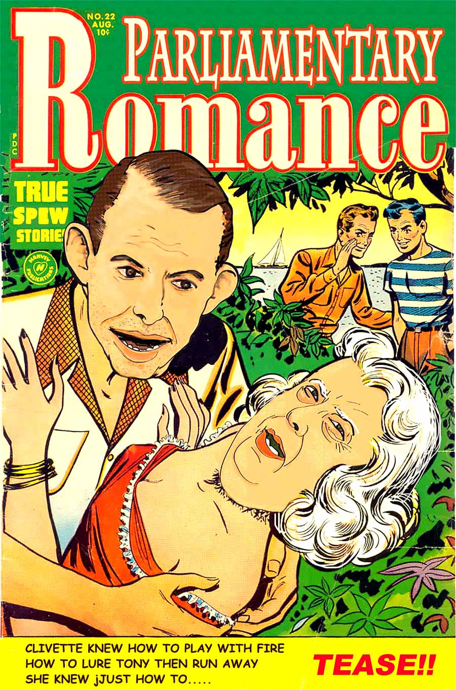Parliamentary Romance01