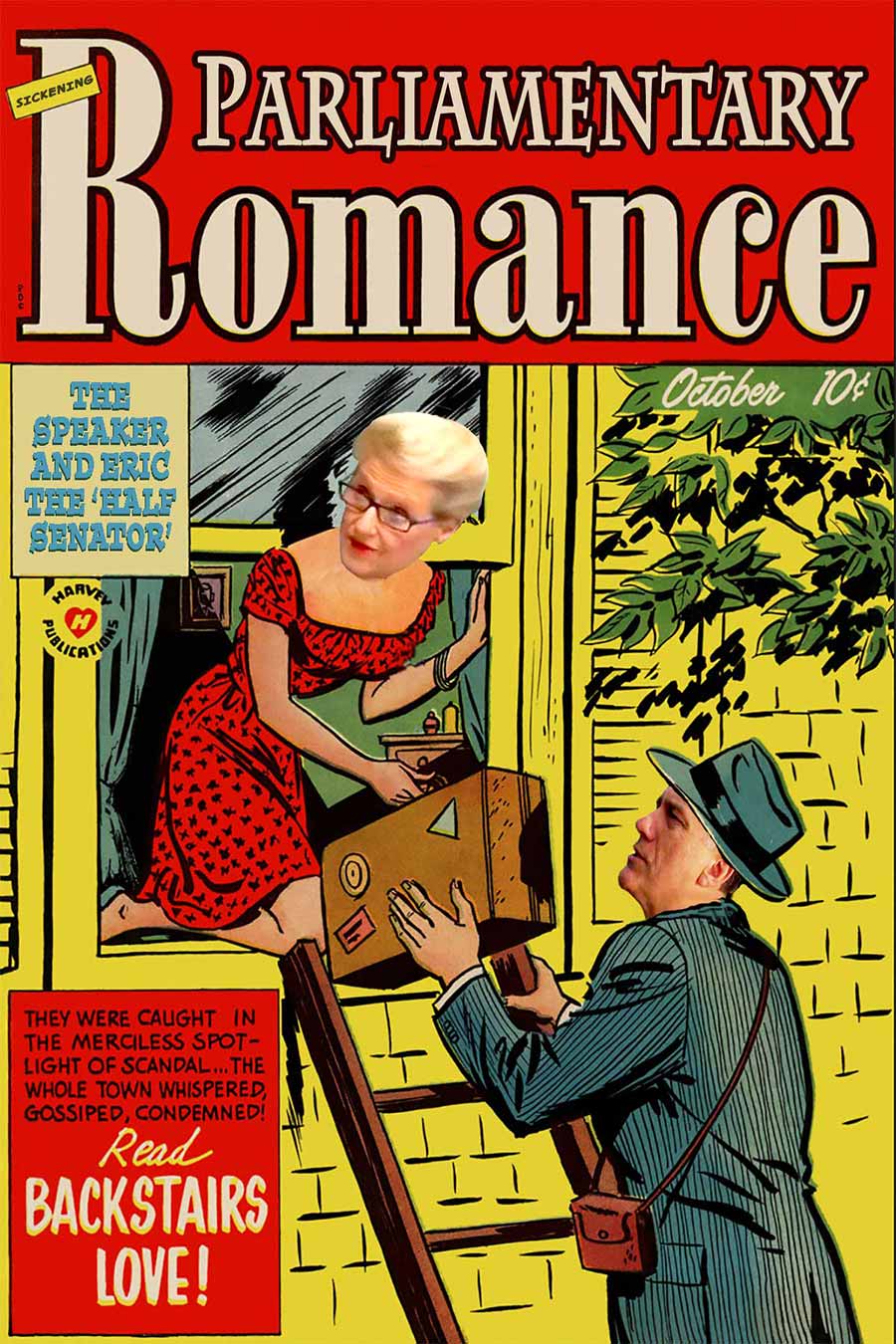 Parliamentary Romance02