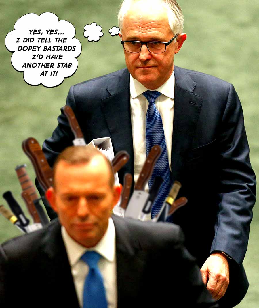Turnbull Stab