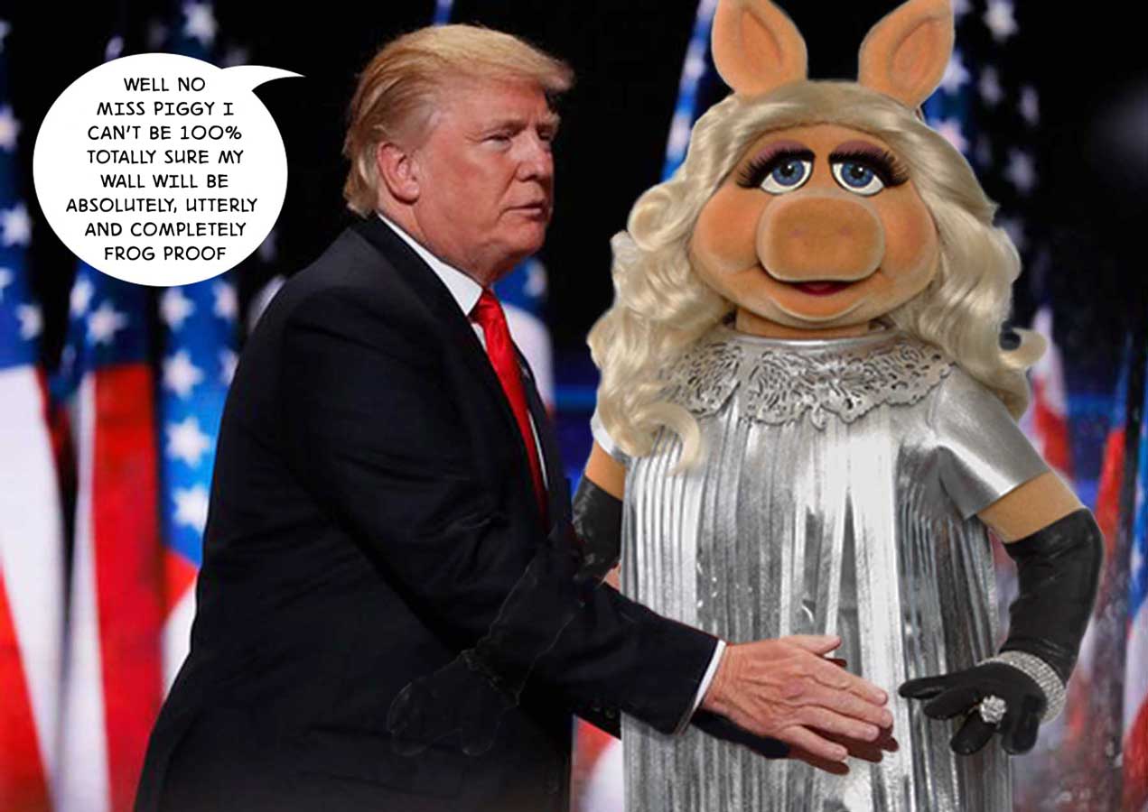 Trump Frog Proof