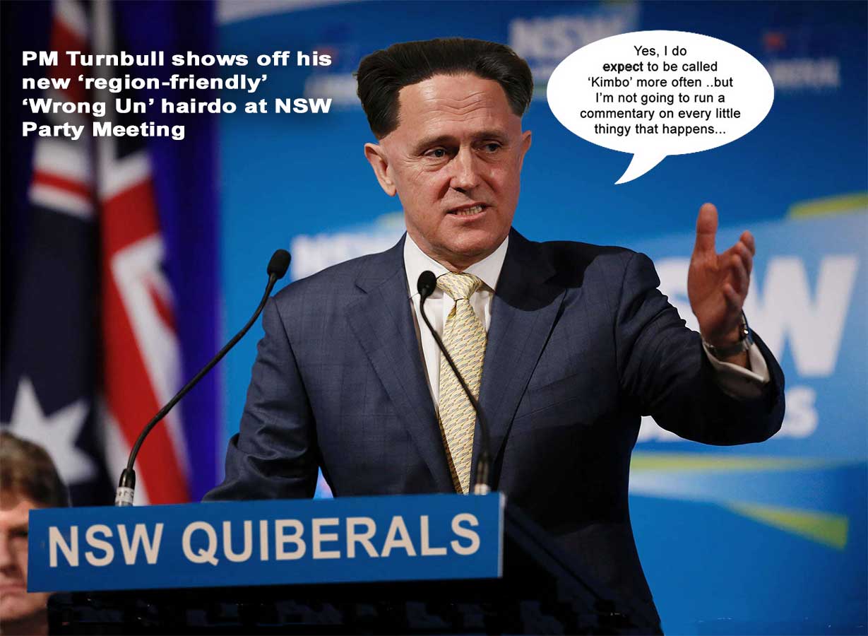 Turnbull Wrong Un