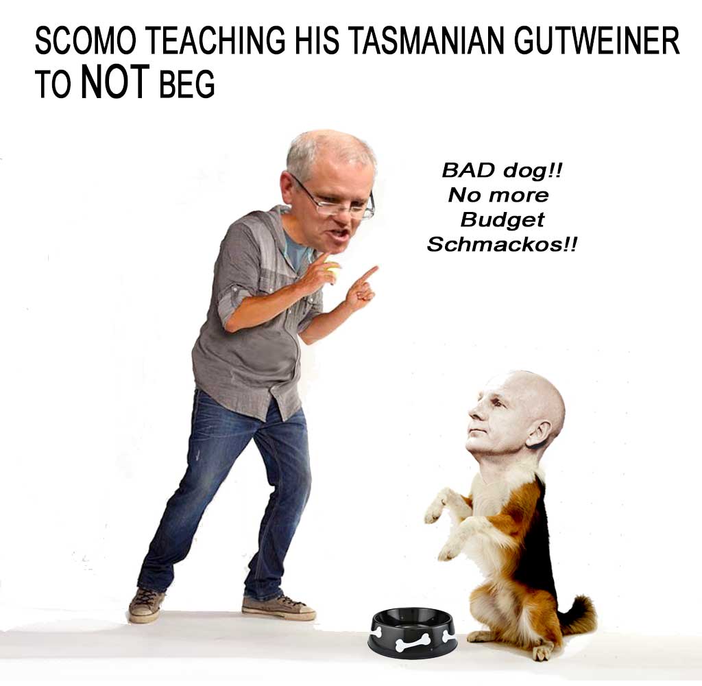 Begging Gutweiner