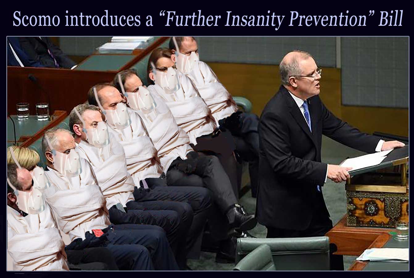 Insanity Prevention Bill