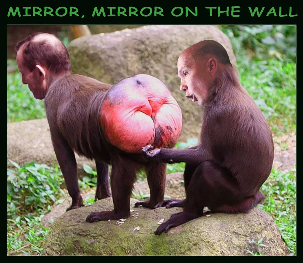Mirror Mirror