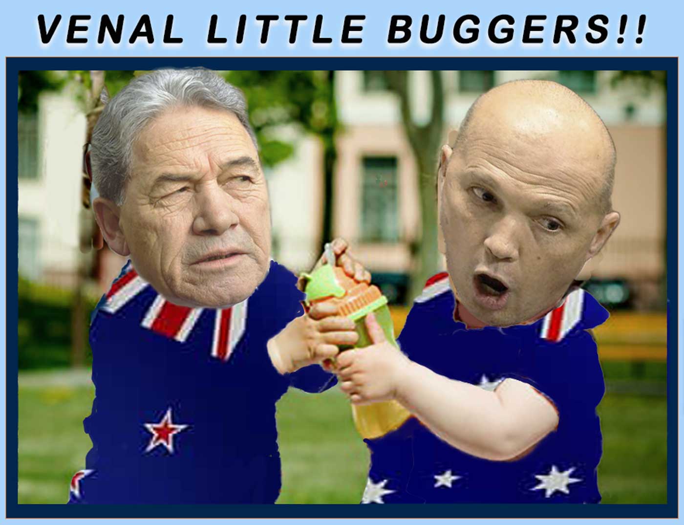 NZ Fight
