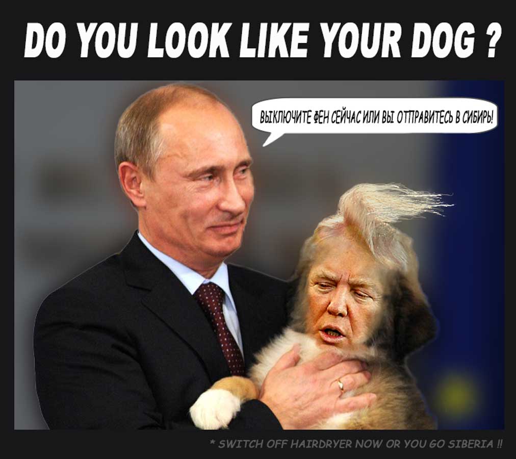 Putin's Dog