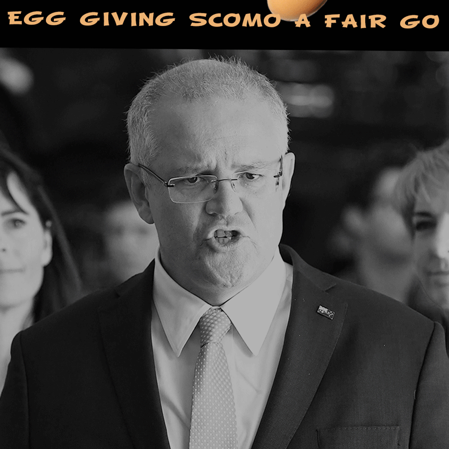 Eggs 03