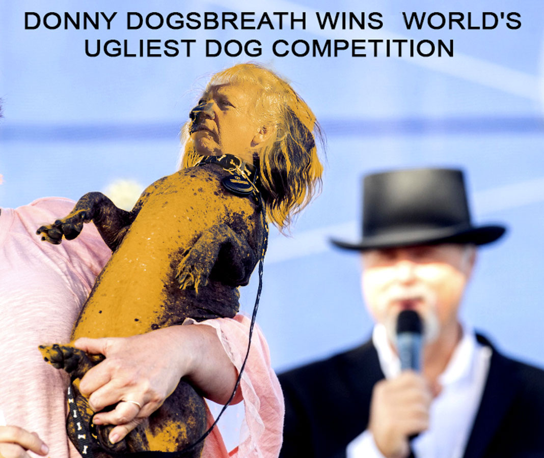 Trump Dogsbreath Copy