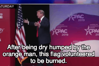 Trump Flag