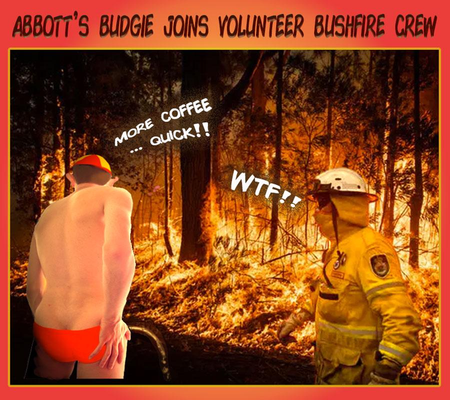 Abbott Bushfires2