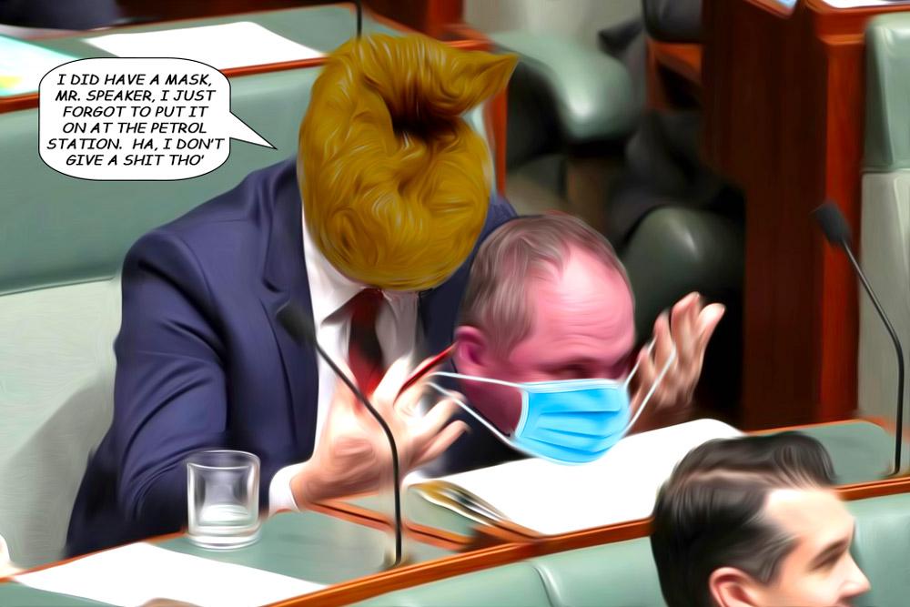 Barnaby Mask