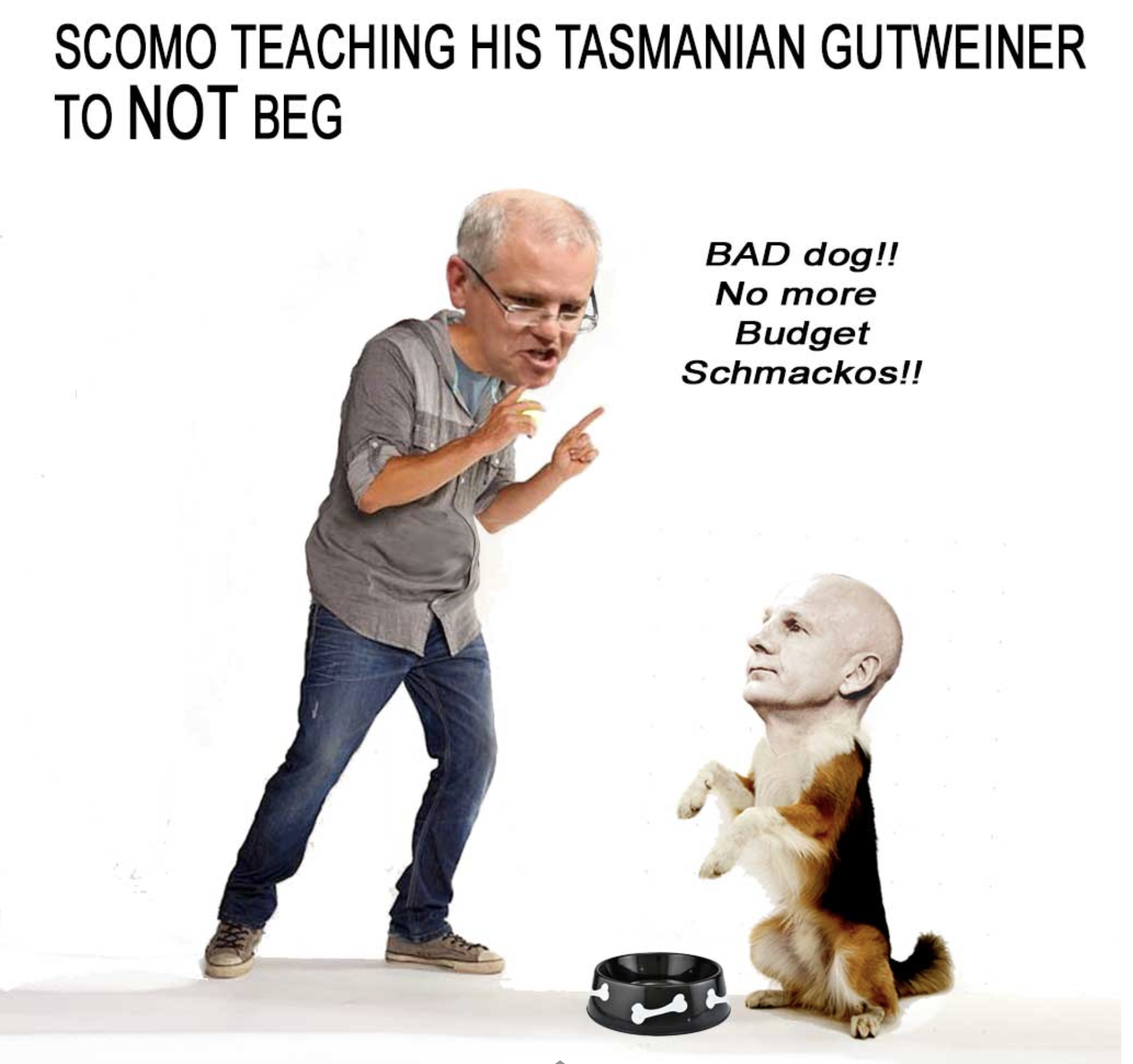 Gutweiner