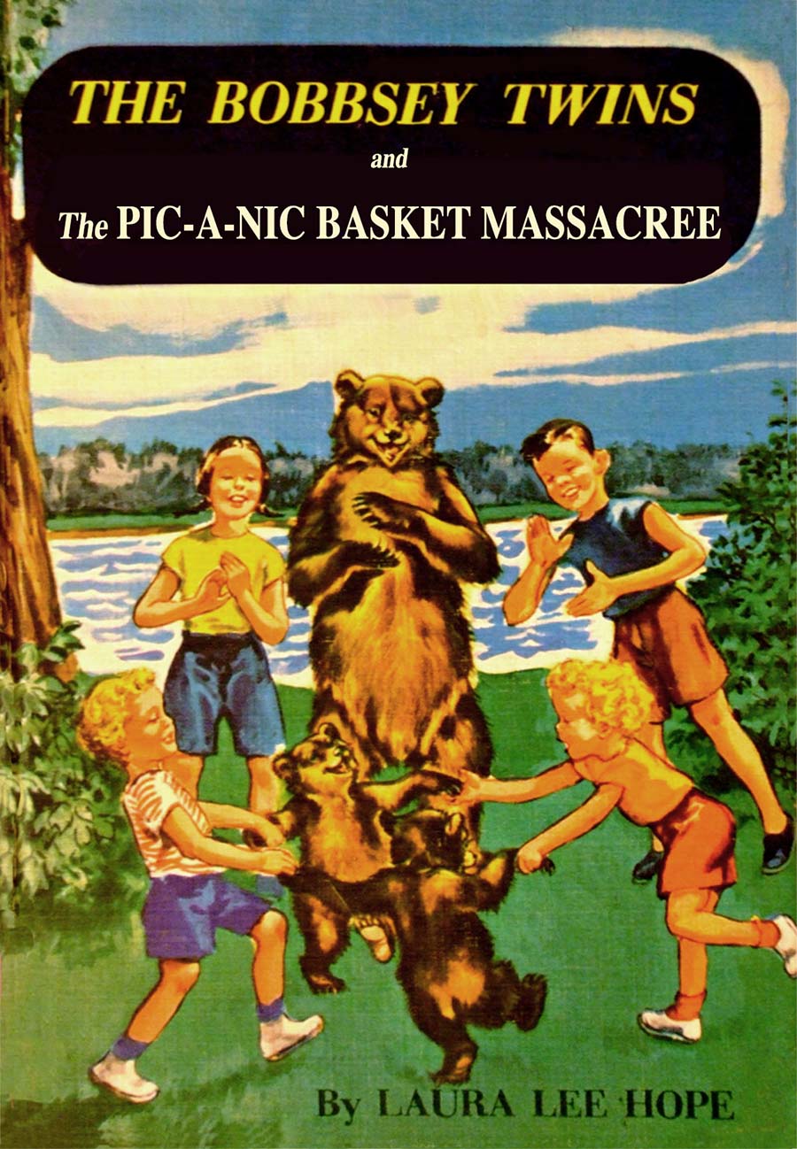 Bobbsey Twins Pic A Nic Basket