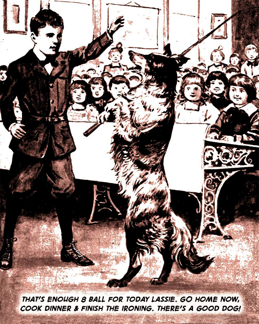 Bobbsey & Lassie