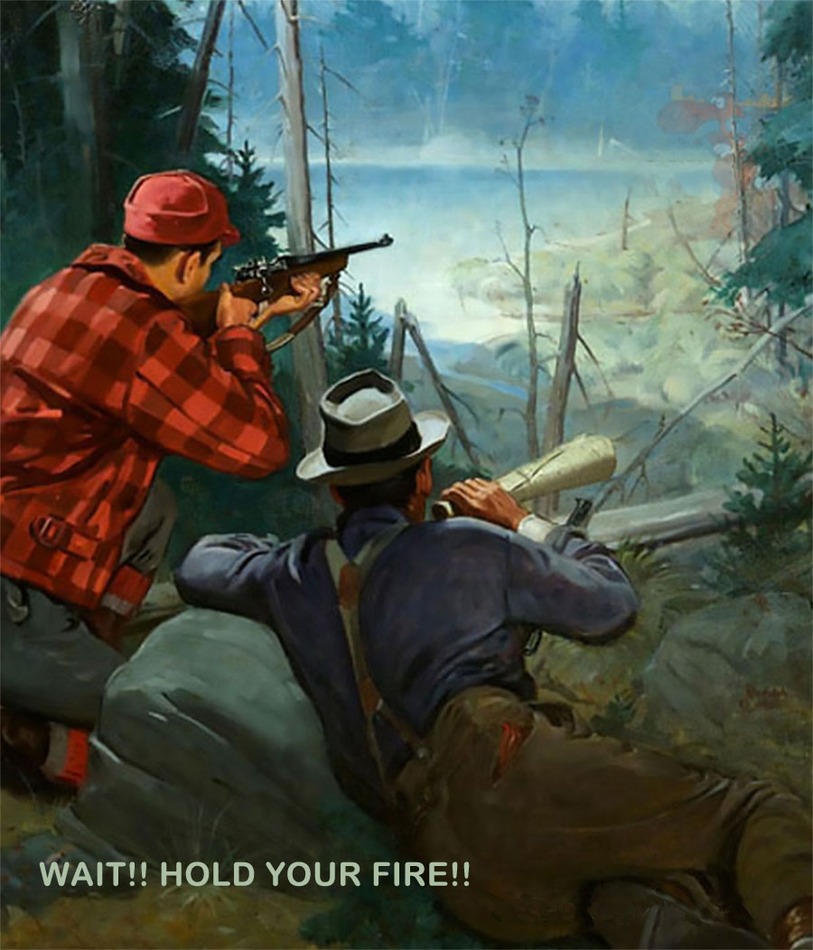 Hold Your Fire