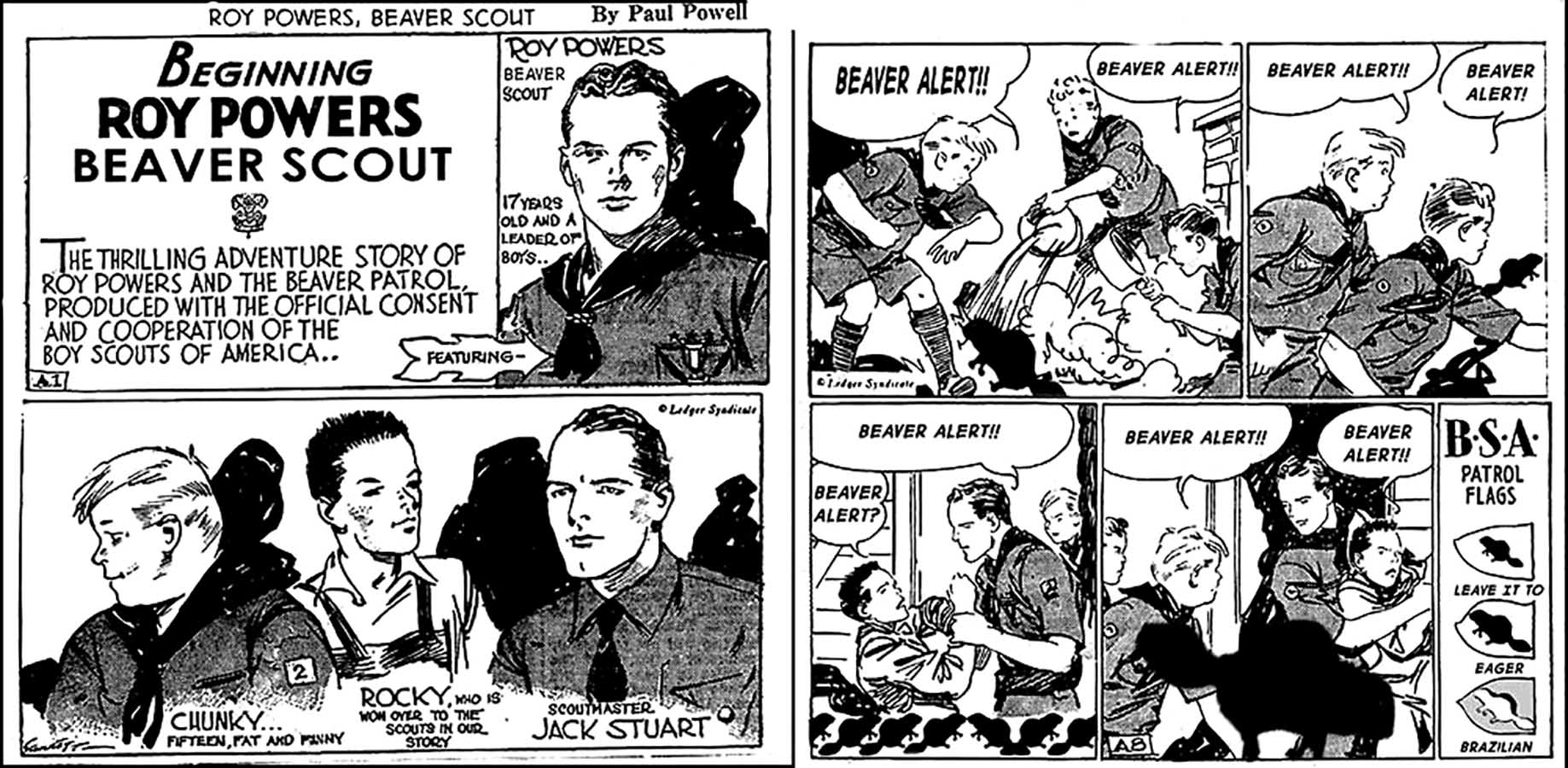 Beaver Scout