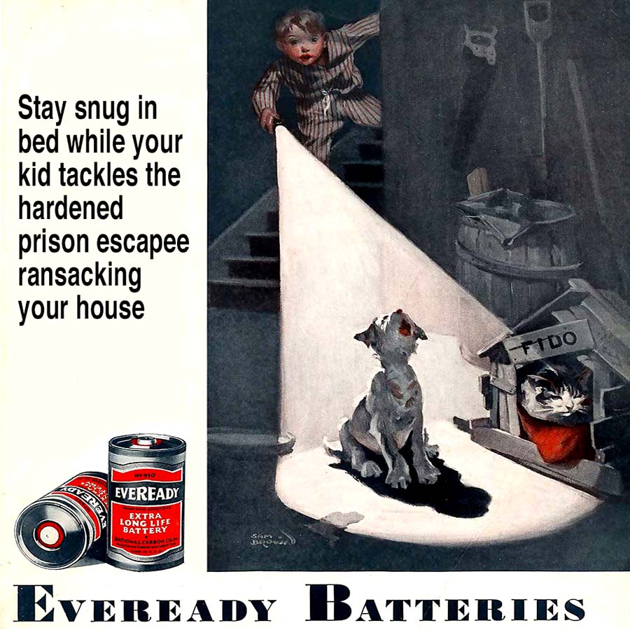 Eveready Batteries
