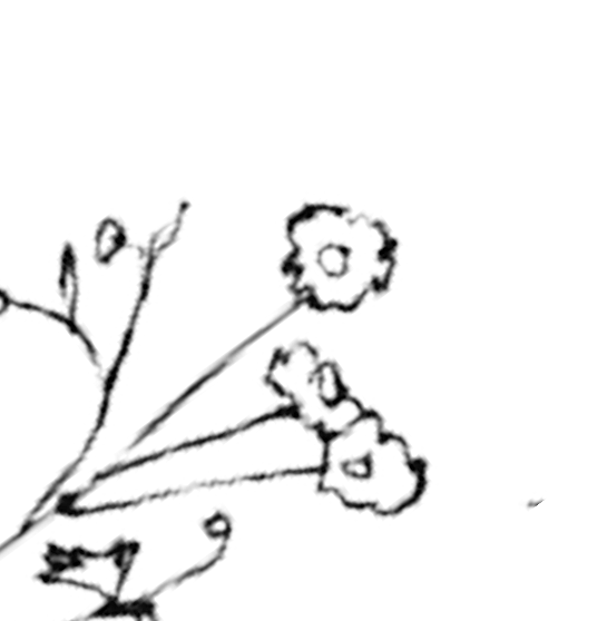 flower bottom left
