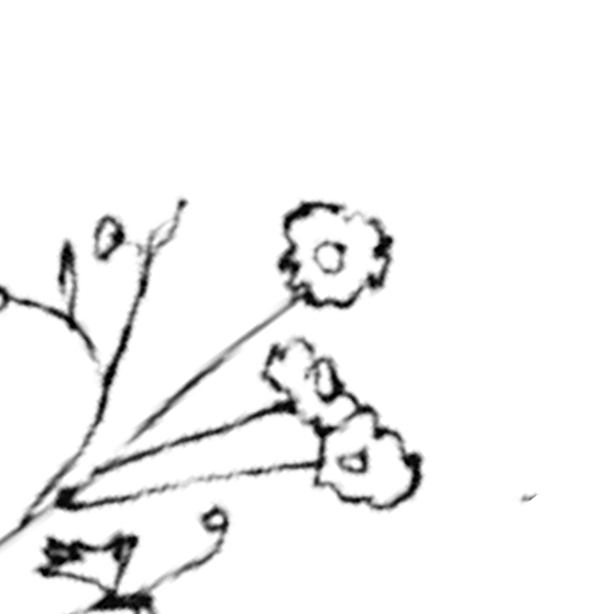 flower bottom left