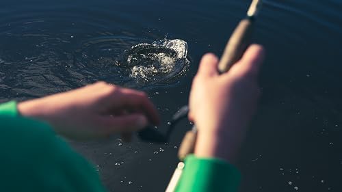 Vue 6 de Mitchell Epic Spinning Rod