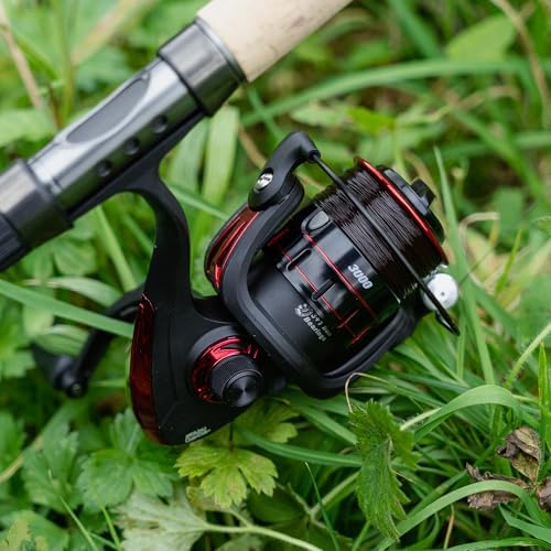 Vue 4 de Abu Garcia Cardinal