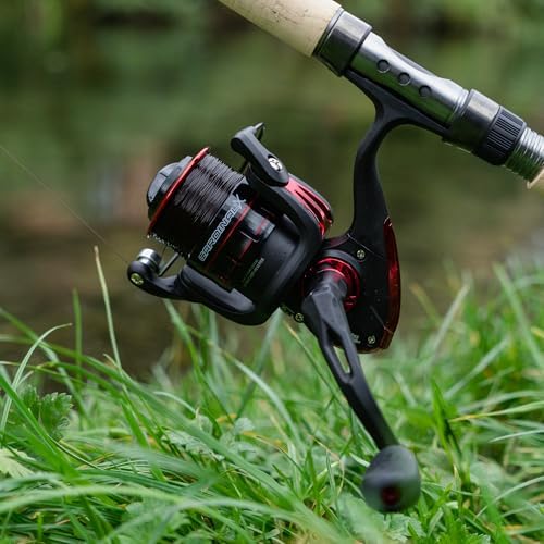 Vue 5 de Abu Garcia Cardinal