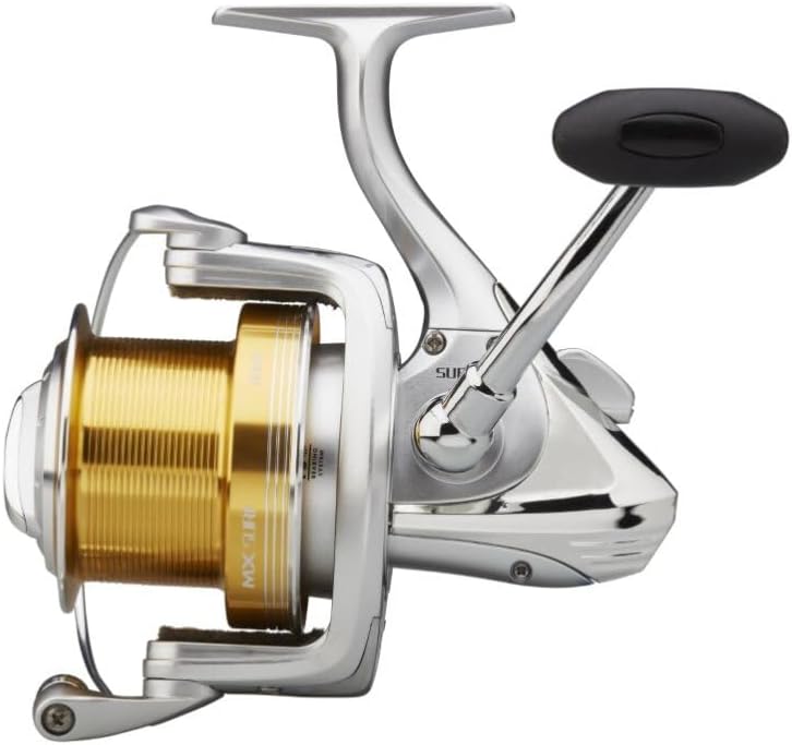 Vue 3 de Mitchell Moulinet Mx Surf