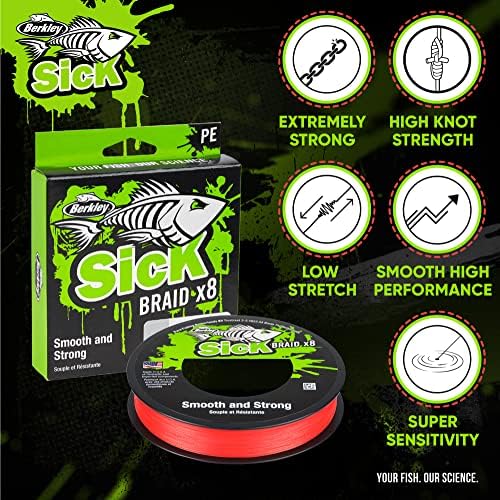 Vue 6 de Berkley Malade Sick Braid