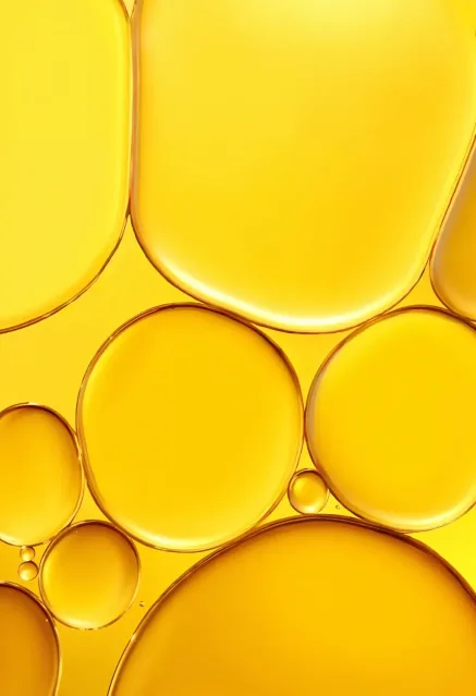 Omega-3 DHA essential fatty acids supporting brain, heart and skin health