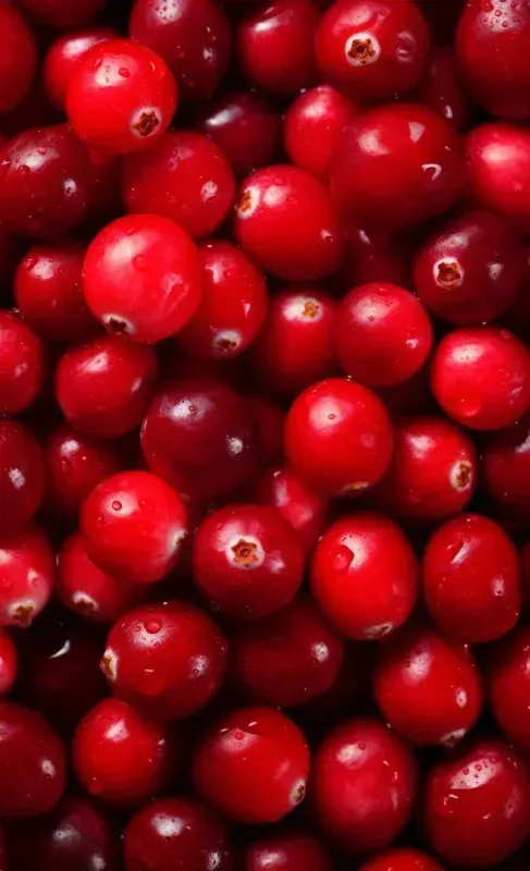 Cranberries rich in antioxidants supporting metabolism, detoxification and weight management