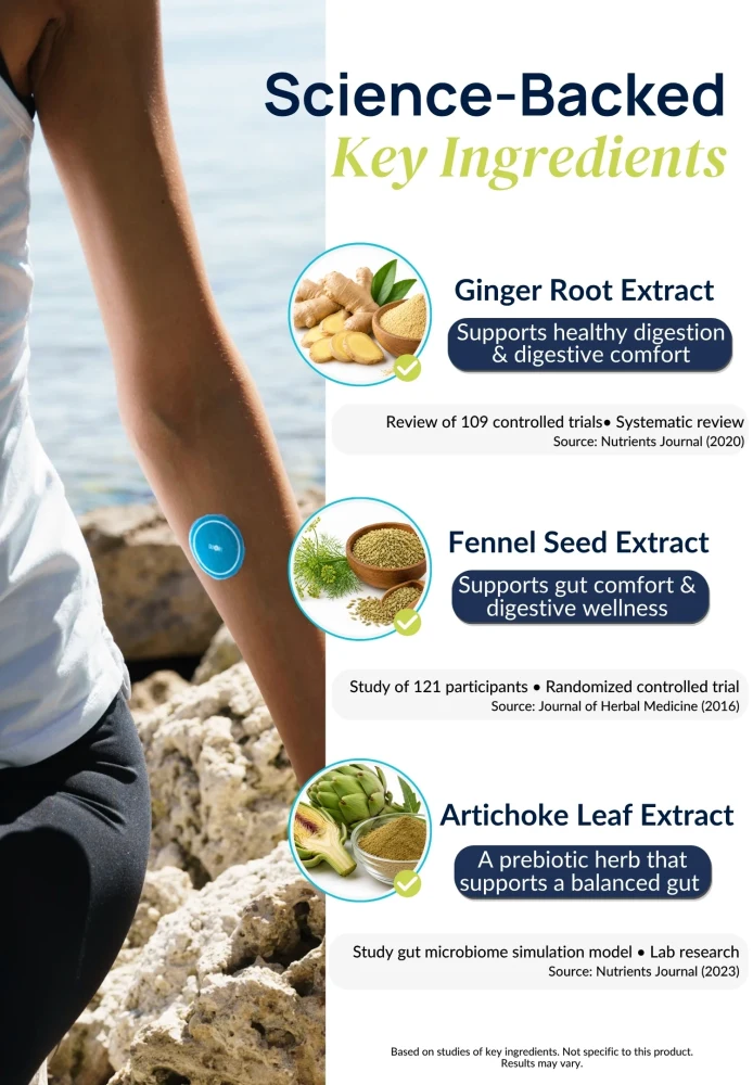 Science-backed ingredient infographic for Duori Unbloat Patches featuring Ginger Root Extract, Fennel Seed Extract, and Artichoke Leaf Extract to support healthy digestion, reduce bloating, promote gut comfort, and maintain digestive balance.