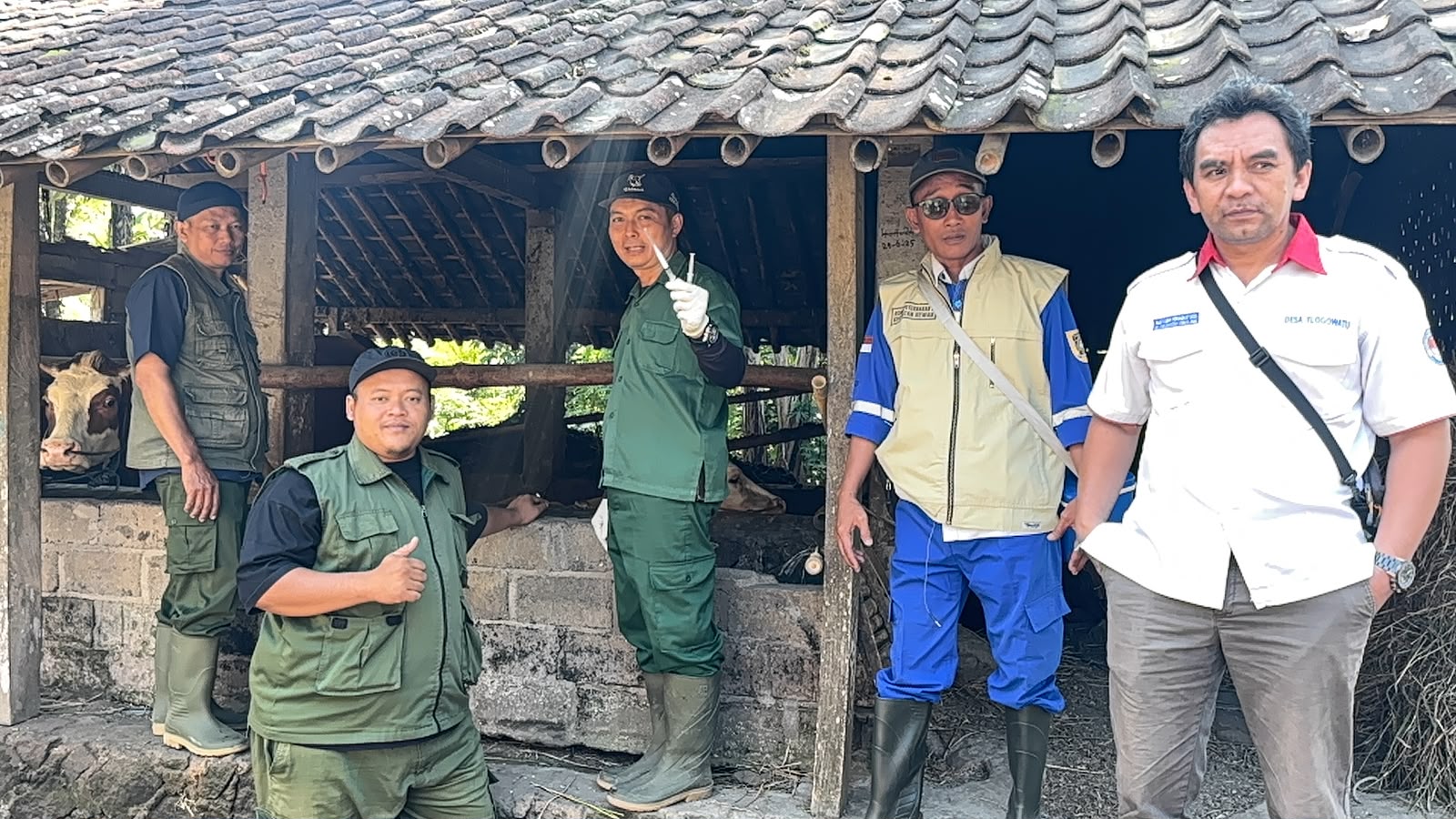 Vaksinasi Sapi di Desa Tlogowatu untuk Mencegah Penyakit Ternak