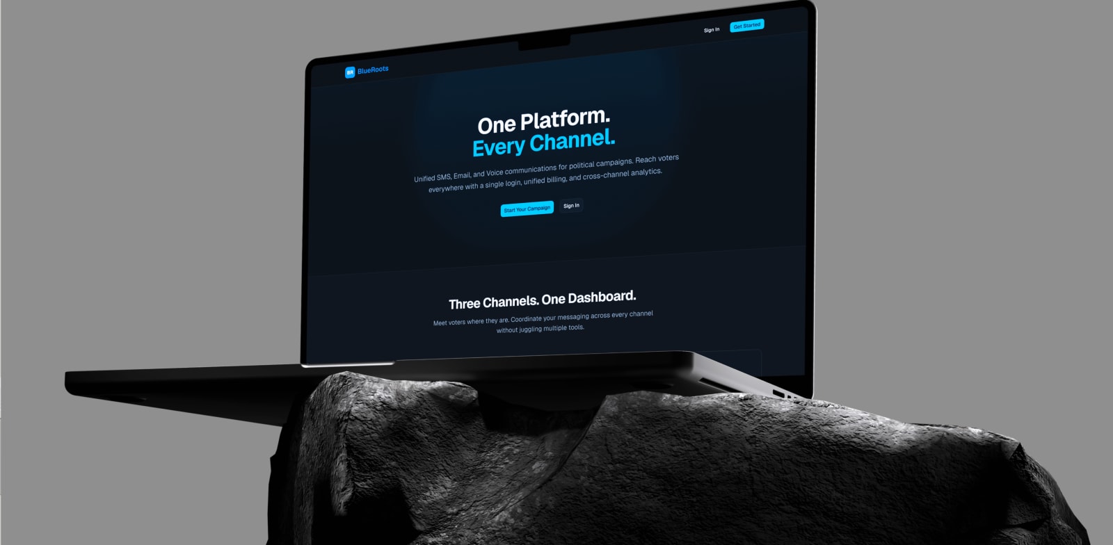 BlueRoots platform overview showing multi-channel campaign management interface
