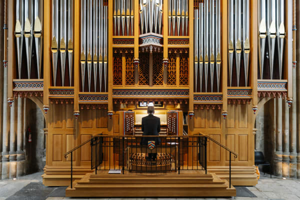 Natural outdoor portrait