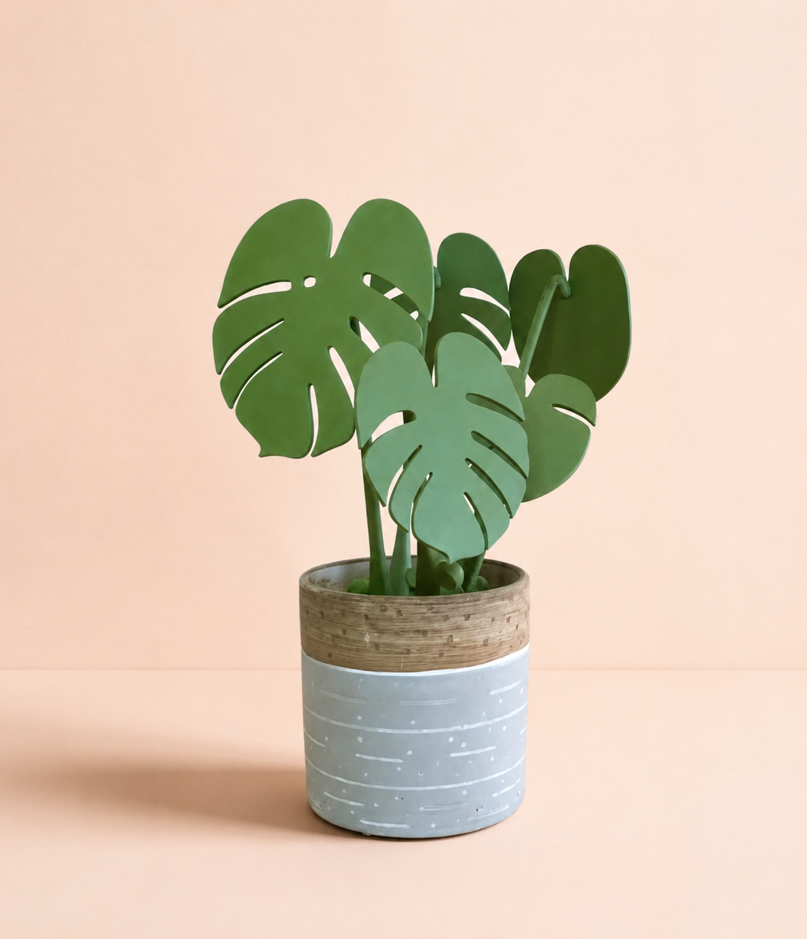 Plant coaster no magnet