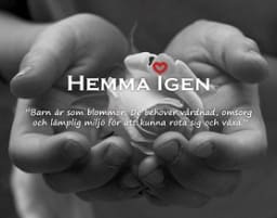 Hemma Igen Sverige AB