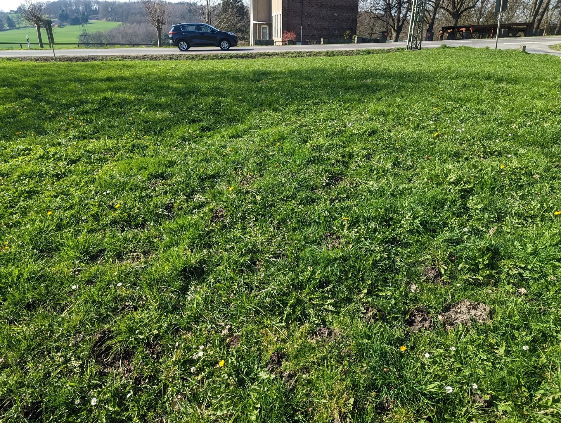 Pxl 20230405 140932223