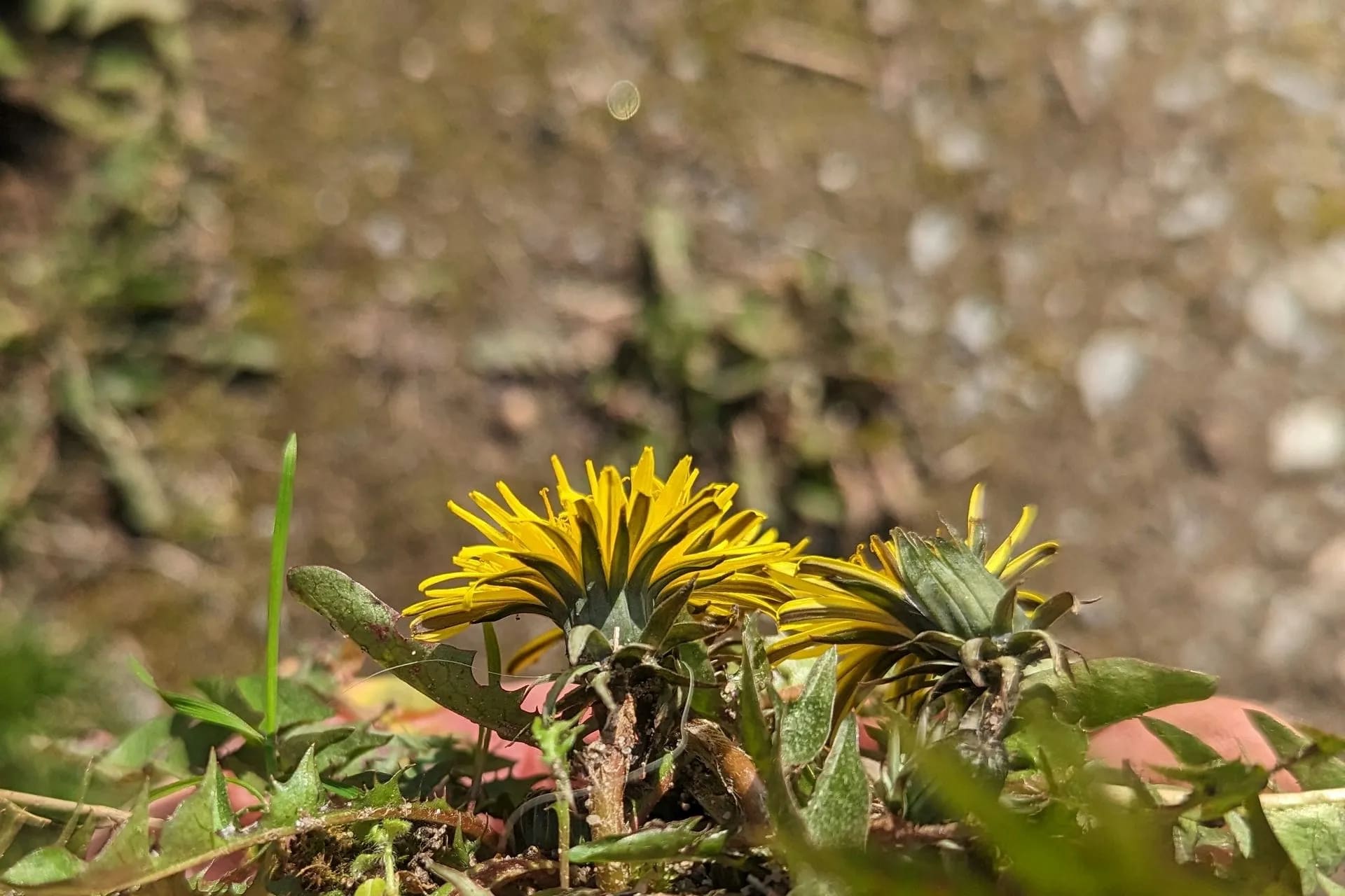 Pxl 20230405 141314083 2