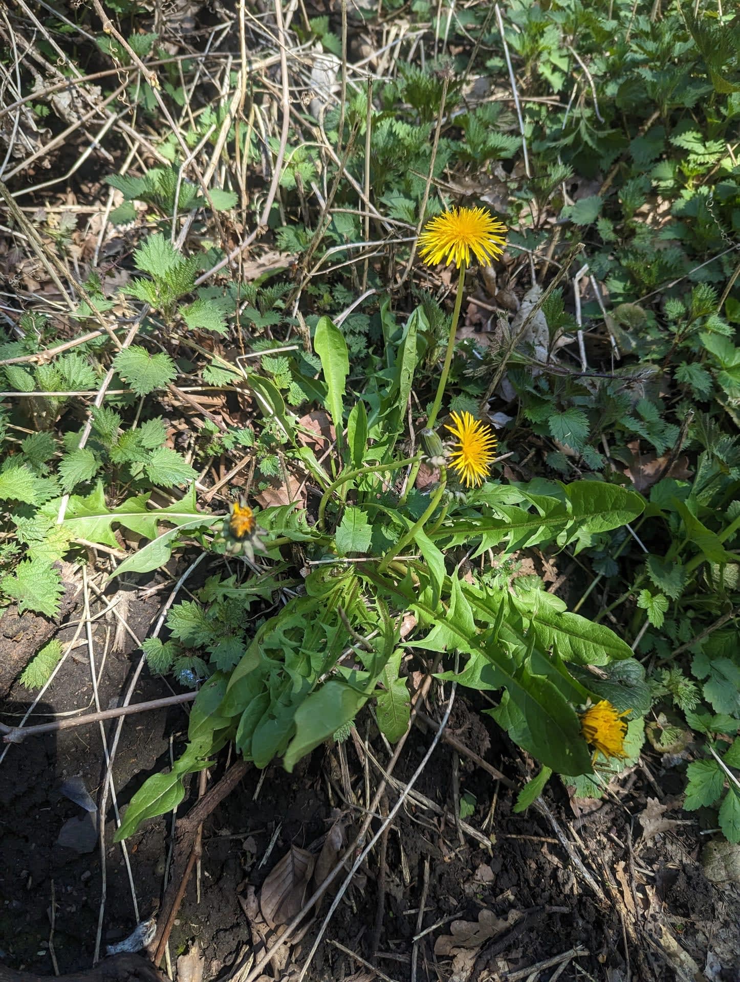 Pxl 20230419 115902758