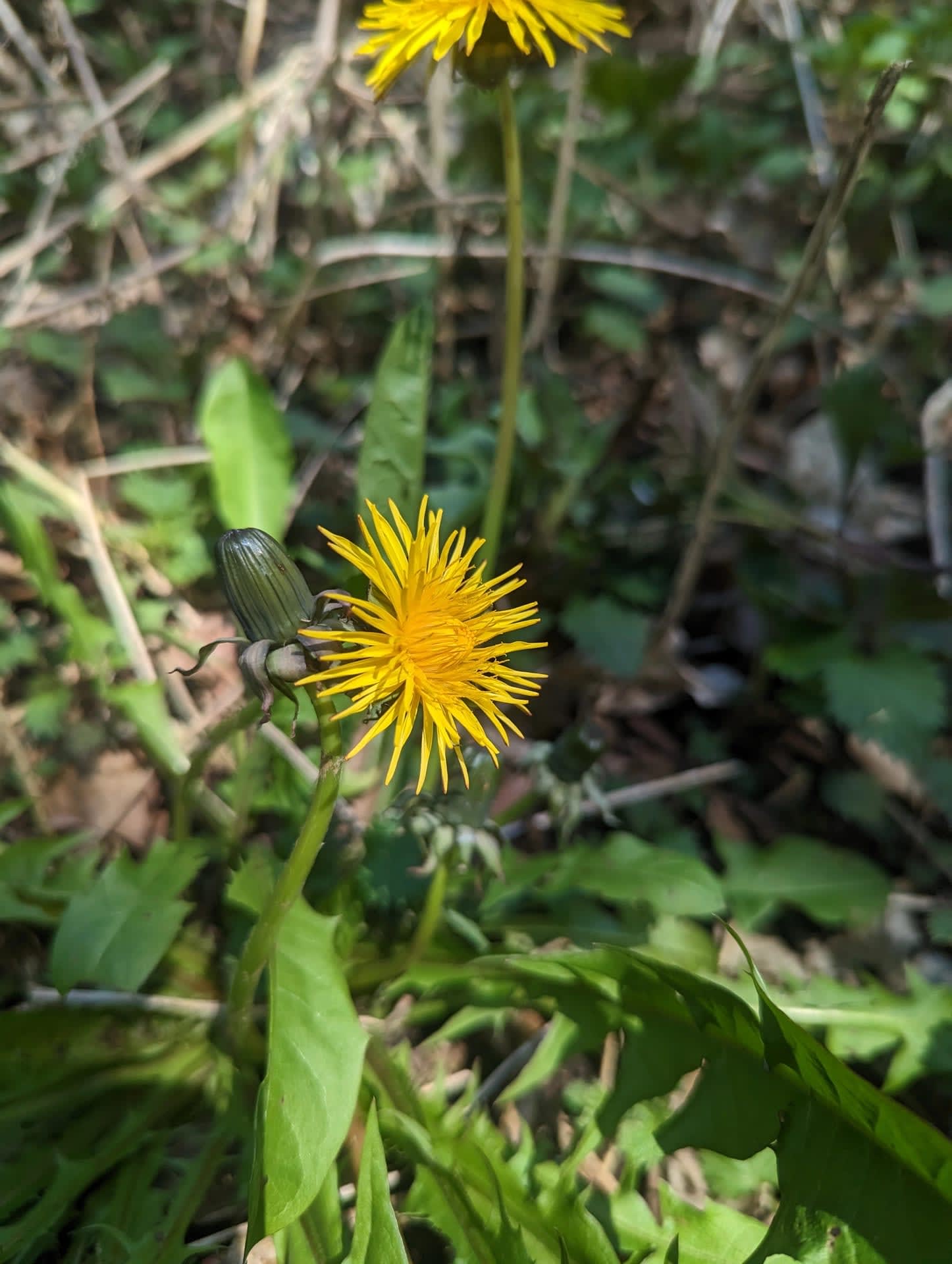 Pxl 20230419 115911024